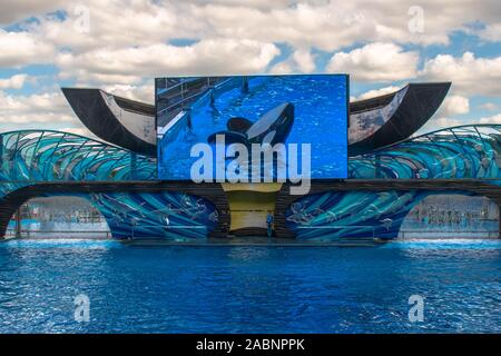 Orlando, Florida. November 22. 2019. Fantastisch Ein Ozean Show in Seaworld Stockfoto