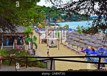 Den schönen Strand in der Nähe von Lassi bekannt als Paralia Makris Gialos. Mit Sonnenliegen, Sonnenschirmen und einem smart Beach Bar. Stockfoto
