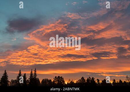 Morgenstimmung, Karlstad, Norrbotten, Lappland, Schweden, Oktober 2017 Stockfoto
