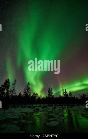 Nordlicht, Schwedisch-Lappland, Skandinavien Stockfoto