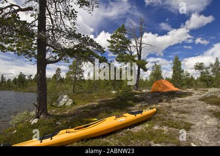 Zelt unter einer Kiefer, Rogen Naturreservat, Haerjedalen, Schweden; Juli 2008 Stockfoto