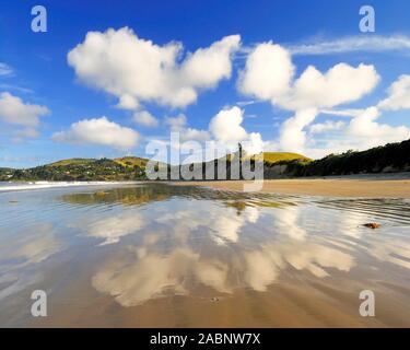 Strand bei Moeraki mit Wolkenspiegelung, Pazifischer Ozean, Otago, Neuseeland Suedinsel; März 2007 Stockfoto