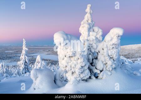 Winterlandschaft, Stubba Naturreservat, Welterbe Laponia, Norrbotten, Lappland, Schweden, November 2014 Stockfoto