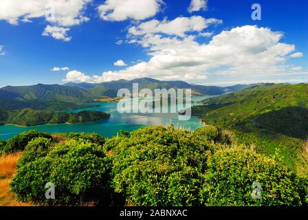 Blick vom Berg Onahau, Queen Charlotte Track, den Kenepuru Sound, Marlborough Sounds Nationalpark, suedinsel Neuseeland; März 2007 Stockfoto