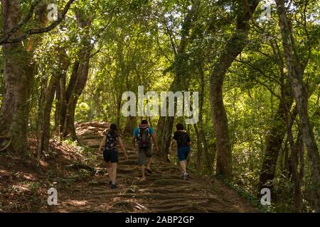 Ilha Grande, Brasilien. 24. Dezember, 2012. Blick auf Menschen zu Fuß auf Regenwald Trail, aus Vila do Santorini Santorini (Dorf), auf dem Weg zu Palmas, die Ilha Grande (Grosse Insel), die Gemeinde von Angra dos Reis, Bundesstaat Rio de Janeiro, Brasilien. Am 5. Juli 2019, Ilha Grande wurde von der UNESCO als Weltkulturerbe eingetragen. Stockfoto