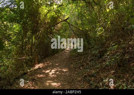 Ilha Grande, Brasilien. 24. Dezember, 2012. Blick auf Menschen zu Fuß auf Regenwald Trail, aus Vila do Santorini Santorini (Dorf), auf dem Weg zu Palmas, die Ilha Grande (Grosse Insel), die Gemeinde von Angra dos Reis, Bundesstaat Rio de Janeiro, Brasilien. Am 5. Juli 2019, Ilha Grande wurde von der UNESCO als Weltkulturerbe eingetragen. Stockfoto