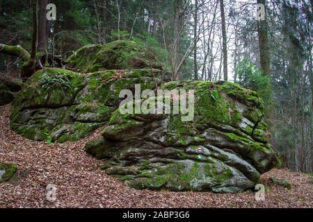 Tercino udoly, Nove Hrady, Tschechische Republik Stockfoto