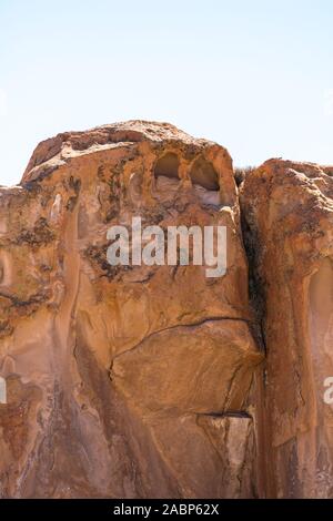 Affengesicht, Valle de las Rocas, Laguna Negra, südlichen Altiplano, in Bolivien, in Lateinamerika Stockfoto