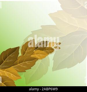 Vektor herbst Abbildung. Schönen baum laub saisonale Muster fallen. Herbst Baum Vektor. Natürliche Abbildung Stock Vektor