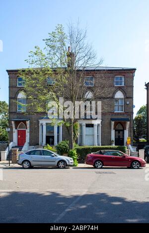 Ein kränkeliger, kleinblättriger Lindenbaum (Tilia cordata), Herbst- und Frühlingsbilder verfügbar, Upper Holloway, London, UK - Frühlingsansicht Stockfoto