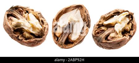 Sammlung von gebrochen Walnüsse auf einem weißen Hintergrund. Stockfoto