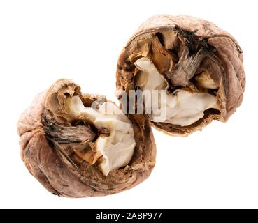 . Gebrochen Walnüsse auf einem weißen Hintergrund. Stockfoto