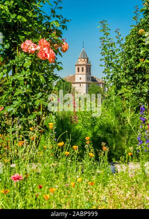 Blumen und Blick auf den Generalife und die Alhambra in Granada, Andalusien, Spanien. Stockfoto