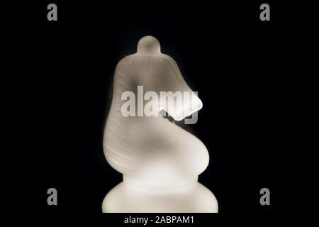 Schach Glas weiß Ritter Stück auf schwarzem Hintergrund Stockfoto