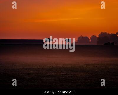 Silhouetten von zwei Kühe auf dem Deich mit Blick auf die Nebel wiesen vor Sonnenaufgang Stockfoto