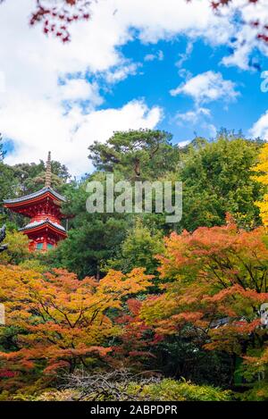 Imakumano Kannon-ji, Kyoto/Japan Stockfoto