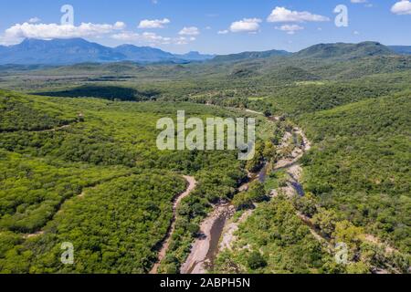 Luftaufnahme von Cuchujaqui Fluss in der Monte Mojino Reserve mit einem Ökosystem von niedrigen Laubwald, in der Sierra de Alamos Flora und Fauna schutz Bereich Cuchujaqui Fluss ist einer der 39 Flora und Fauna Schutzgebiete in Mexiko. © (© Foto: LuisGutierrez/NortePhoto.com) vista Aerea de Río Cuchujaqui en la Reserva Monte Mojino con ecosistema de Selva baja caducifolia, Dentro del área de Protección de Flora y Fauna Sierra de Alamos Río Cuchujaqui es una de las 39 Áreas de Protección de Flora y Fauna de México. © (© Foto: LuisGutierrez/NortePhoto.com) Stockfoto