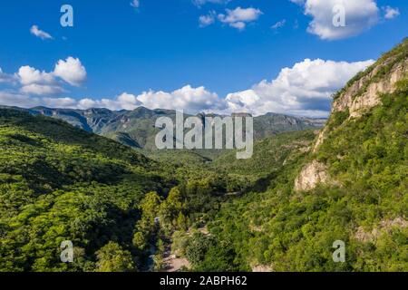 Luftaufnahme von Cuchujaqui Fluss in der Monte Mojino Reserve mit einem Ökosystem von niedrigen Laubwald, in der Sierra de Alamos Flora und Fauna schutz Bereich Cuchujaqui Fluss ist einer der 39 Flora und Fauna Schutzgebiete in Mexiko. © (© Foto: LuisGutierrez/NortePhoto.com) vista Aerea de Río Cuchujaqui en la Reserva Monte Mojino con ecosistema de Selva baja caducifolia, Dentro del área de Protección de Flora y Fauna Sierra de Alamos Río Cuchujaqui es una de las 39 Áreas de Protección de Flora y Fauna de México. © (© Foto: LuisGutierrez/NortePhoto.com) Stockfoto