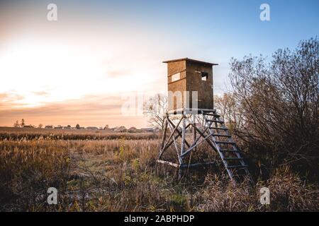 Bild von einem Jagd- oder ein ansitz oder blind auf ein Feld in der Morgendämmerung. Stockfoto