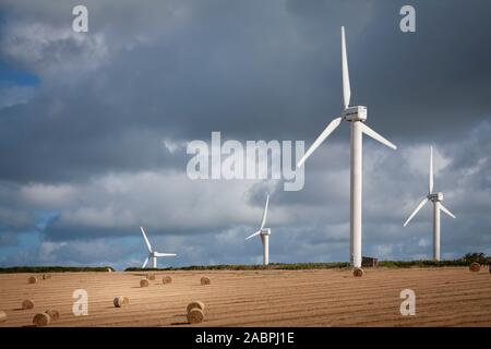 Windparks in Feldern in England Stockfoto