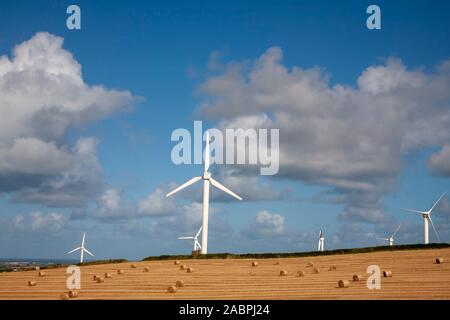 Windparks in Feldern in England Stockfoto