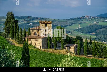 Weinbergen in der Landschaft des Chianti, Località La Piazza, Castellina in Chianti, in der Provinz von Siena, Toskana, Italien Stockfoto