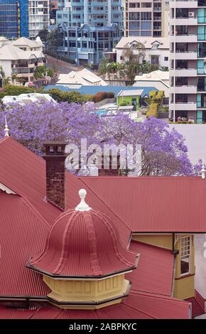 Roten Dächer der Stadt mit lila Jacaranda tree Stockfoto