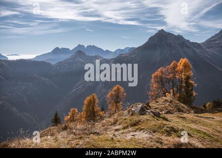 Weiten Blick über das Cadore Gebiet unter den italienischen Doomites im Herbst Stockfoto