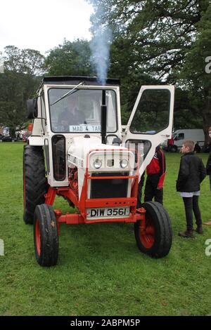 Weiß David Brown 996 Traktor bei Kilbroney Vintage Show 2019 gesehen Stockfoto