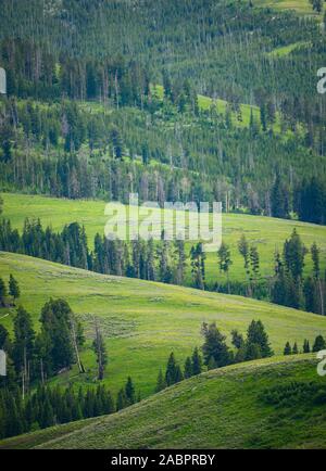 Schichten von Rolling Hills in Yellowstone Wildnis Stockfoto