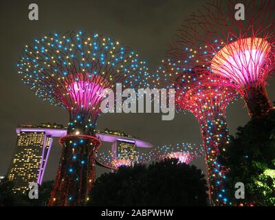 Blick auf die bunten Supertrees während der Nacht Lichtershow in den Gardens by the Bay in Singapur Stockfoto