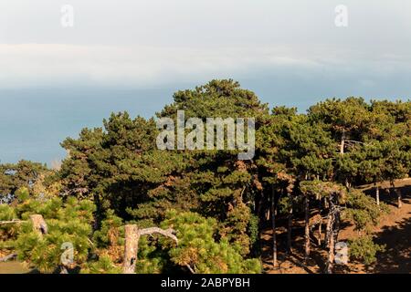 Blick auf den nebligen Balaton vom Aussichtsturm von balatonboglar an einem Herbsttag. Stockfoto