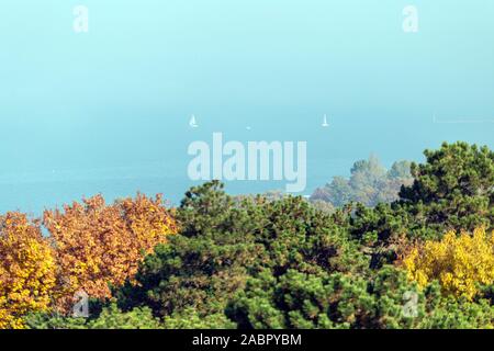 Blick auf den nebligen Balaton vom Aussichtsturm von balatonboglar an einem Herbsttag. Stockfoto