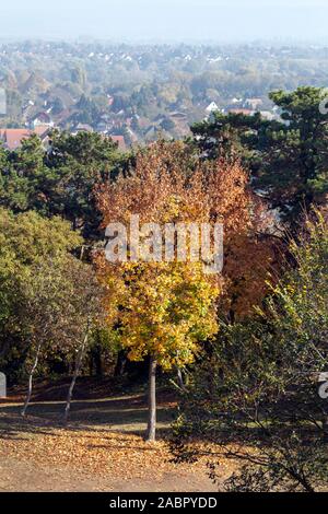 Blick auf den nebligen Balatonboglar, Ungarn vom Aussichtsturm auf einen Herbst Tag. Stockfoto