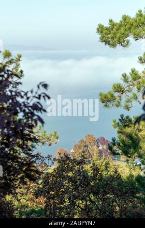 Blick auf den nebligen Plattensee Fonyod Promenade an einem Herbsttag. Stockfoto