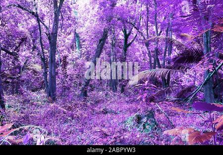 Schöne fantasy Infrarot Aufnahmen von Palmen auf den Seychellen Inseln Stockfoto