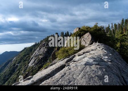 Fabelhafte Aussicht von Moro Rock im Sequoia National, Kalifornien Stockfoto