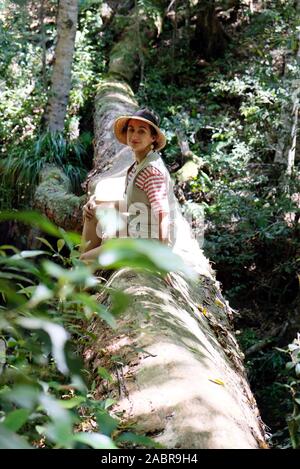 Eine junge schöne Frau auf einem Stamm einer alten gefallenen Baum im Regenwald, Australien sitzen. Royal National Park, New South Wales. Stockfoto