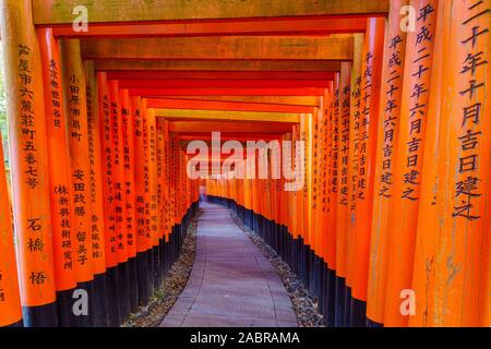 Kyoto, Japan - Oktober 10, 2019: Blick auf einen Weg der Torii Toren, bis die Inari Berg, in Kyoto, Japan Stockfoto