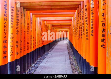 Kyoto, Japan - Oktober 10, 2019: Blick auf einen Weg der Torii Toren, bis die Inari Berg, in Kyoto, Japan Stockfoto