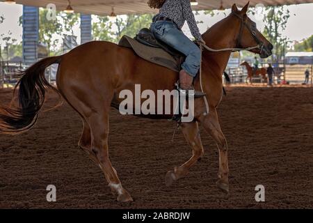Pferd Reiter in Barrel Racing Event an einem indoor Land Rodeo Stockfoto