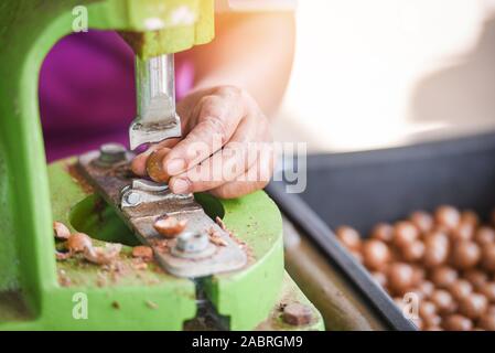 Geschälte geknackt Macadamianüsse für zu trocknen/beschossen und ohne Schale Macadamia-nüsse für Pack up Package für Verkauf Stockfoto