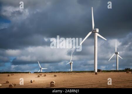 Windparks in Feldern in England Stockfoto