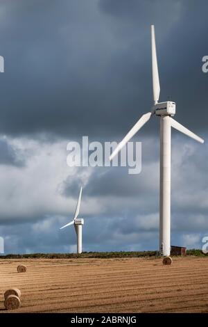 Windparks in Feldern in England Stockfoto