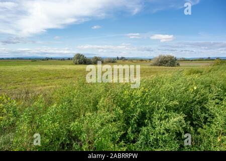 Idyllische Landschaft rund um Illmitz in einem Gebiet namens Burgenland in Österreich Stockfoto