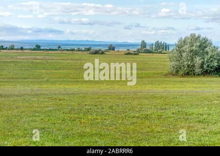 Idyllische Landschaft rund um Illmitz in einem Gebiet namens Burgenland in Österreich Stockfoto