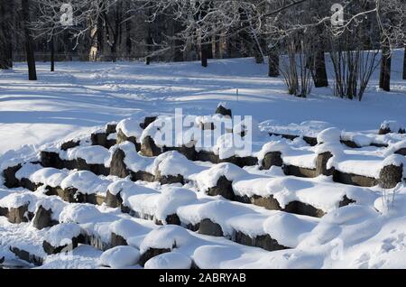 Winter Landschaft mit vielen Felsbrocken bedeckt mit Schnee auf dem gefrorenen Granit Kaskade mit Bäumen im Schatten Stockfoto