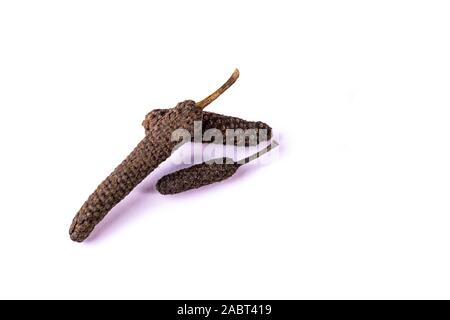 Drei Braun langer Pfeffer pipali auf weißem Hintergrund. Kräutermedizin Konzept Stockfoto