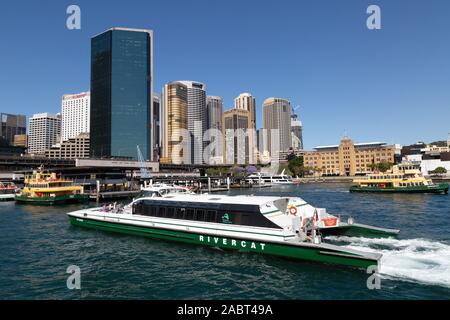 Sydney RiverCat Ferry - Katamaran-Fähren, die auf dem Parramatta River verkehren und am Circular Quay, Hafen von Sydney, Sydney, Australien, anlegen Stockfoto