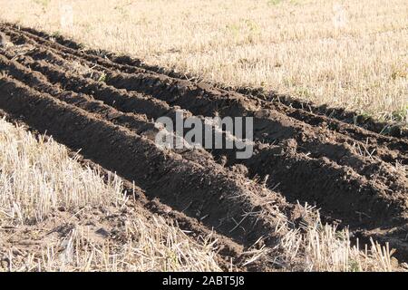 Die tiefe Furchen eines vor Kurzem gepflügten Feldes. Stockfoto